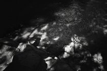 Маленький мальчик сидит на камне у реки — стоковое фото