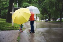 Маленькие мальчики ходят с зонтиками — стоковое фото