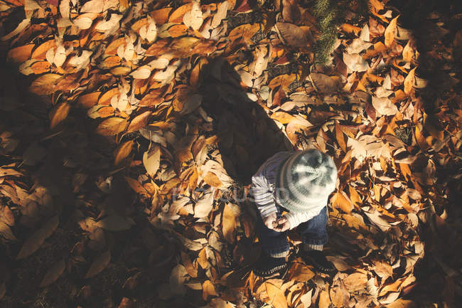 Menino sentado nas folhas de outono — Fotografia de Stock