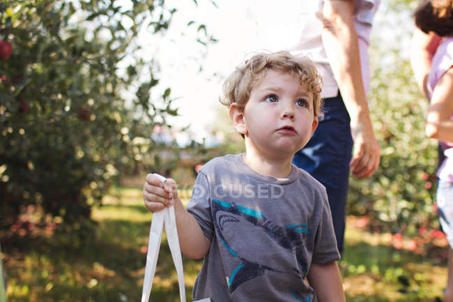 Маленький мальчик стоит в саду — стоковое фото