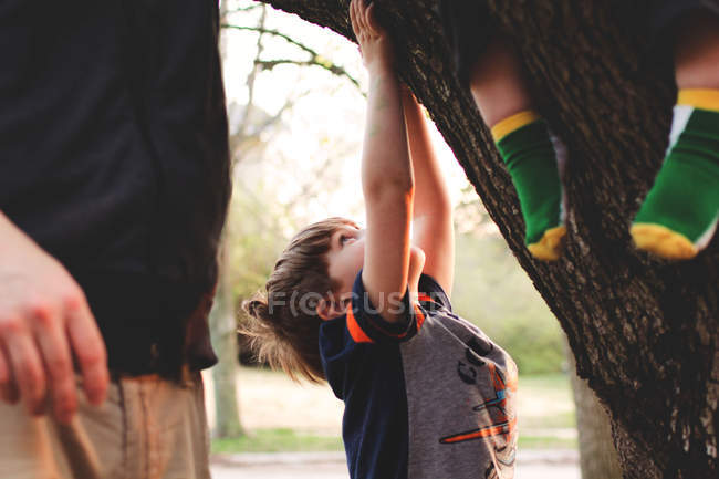 Хлопчик намагається піднятися на дерево — стокове фото