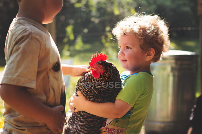 Pequeño niño sosteniendo gran gallina - foto de stock