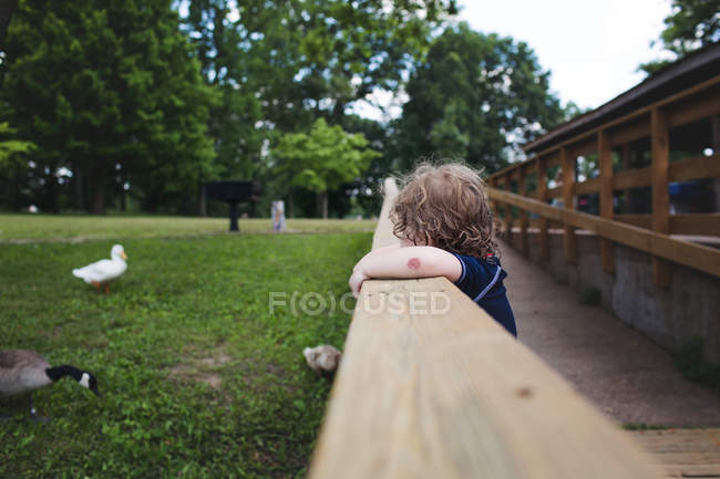 Niño apoyado en barandilla de madera - foto de stock