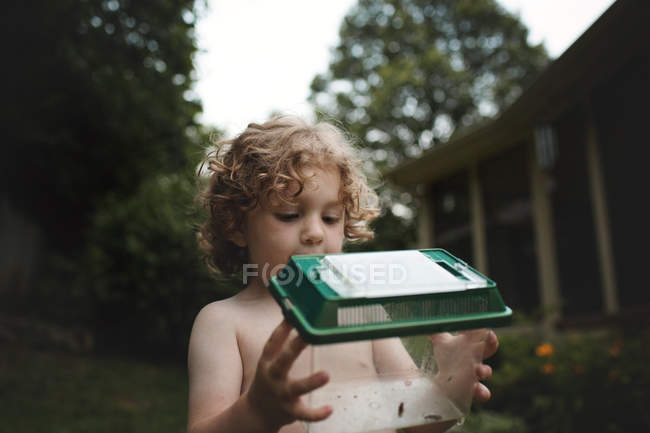 Petit garçon tenant la boîte avec des insectes — Photo de stock