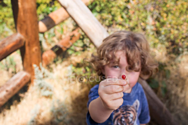 Little boy showing red berry — Stock Photo