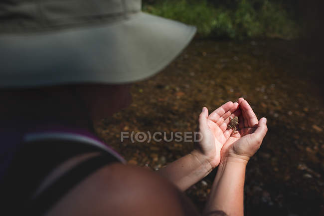 Mujer sosteniendo rana en las manos - foto de stock