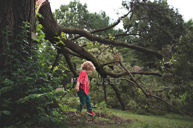 Adorable niño cerca del árbol - foto de stock