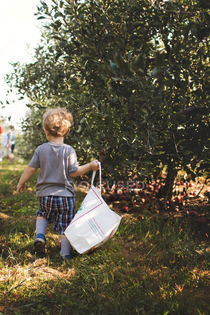 Little boy in orchard — Stock Photo