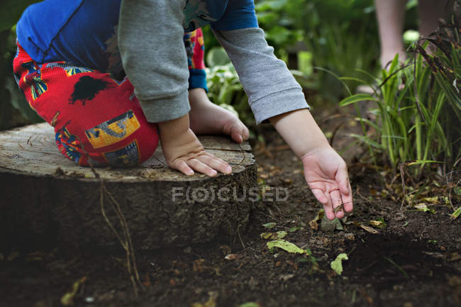 Kleiner Junge sitzt auf einem Baumstumpf — Stockfoto