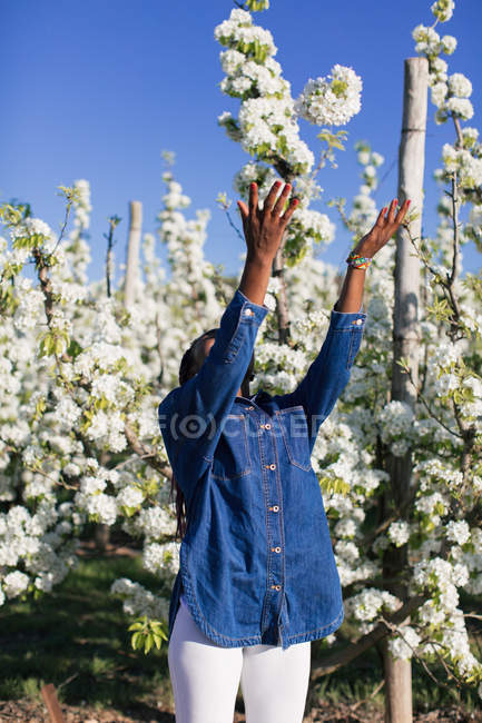 Mujer africana disfrutando la primavera - foto de stock