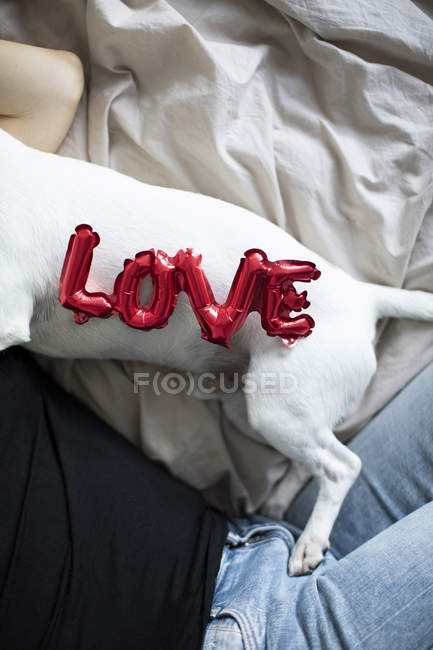 Mujer joven con perro con globos rojos en forma de palabra amor, enfoque selectivo - foto de stock