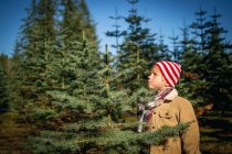 Junge wählt Weihnachtsbaum — Stockfoto