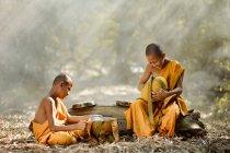 Monjes budistas sentados en el bosque - foto de stock