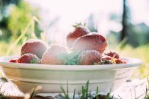 Assiette blanche de fraises fraîches — Photo de stock