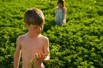 Мальчик и девочка стоят в поле — стоковое фото