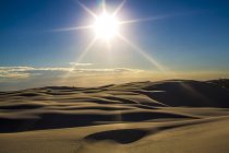 Sol brillando bajo el desierto - foto de stock