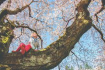 Улыбающаяся девушка сидит на ветке дерева — стоковое фото