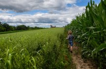 Boy running through corn field — Stock Photo