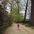 Petite fille marche dans le parc — Photo de stock