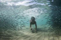 Junge schwimmt mit Fischschwarm — Stockfoto