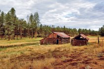 Velha cabine abandonada — Fotografia de Stock