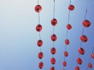 Lanternas chinesas vermelhas — Fotografia de Stock