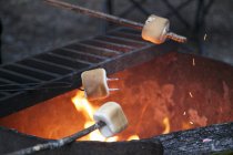 Marshmallows auf Feuer anstoßen — Stockfoto