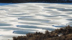 Spotted Lake in Osoyoos — Stock Photo