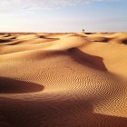 Пустая пустыня Сахара — стоковое фото