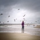 Ragazza sulla spiaggia con stormo di uccelli — Foto stock