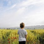Niño de pie en el campo de trigo - foto de stock