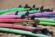 Colorful surfboards on sandy beach — Stock Photo