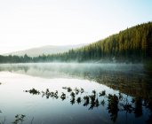 Lago dell'Orso all'alba — Foto stock