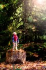 Niño de pie sobre un tronco de árbol - foto de stock