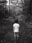 Niño pequeño en el bosque - foto de stock