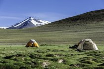 Tents in rupshu valley — Stock Photo