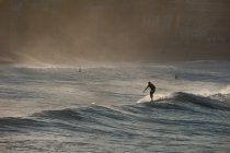 Surfista masculino surfando à tarde — Fotografia de Stock