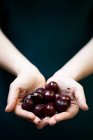 Woman holding cherries in palms — Stock Photo