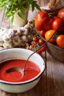 Tomatensuppe und Tomaten — Stockfoto