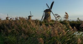 Windmills along river — Stock Photo