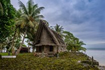 Casa tradicional en Micronesia - foto de stock