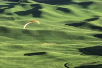 Paraglider descending toward green hills — Stock Photo