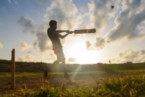Silhouette dell'uomo che gioca a cricket — Foto stock