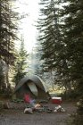 Lugar de acampada vacío - foto de stock