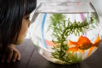 Girl looking at fishbowl — Stock Photo