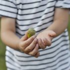 Boy holding acorn — Stock Photo