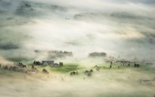 Nevoeiro da manhã escondendo pequena aldeia — Fotografia de Stock