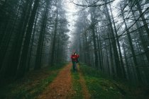 Hiker walking on footpath in forest — Stock Photo