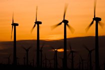 Turbine eoliche al tramonto — Foto stock