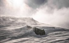Tempesta di neve paesaggio — Foto stock